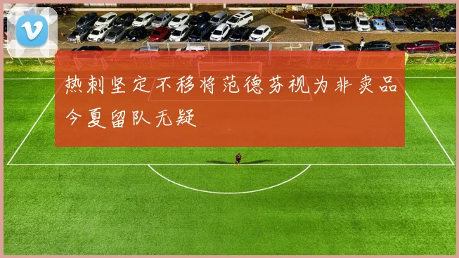 热刺坚定不移将范德芬视为非卖品今夏留队无疑