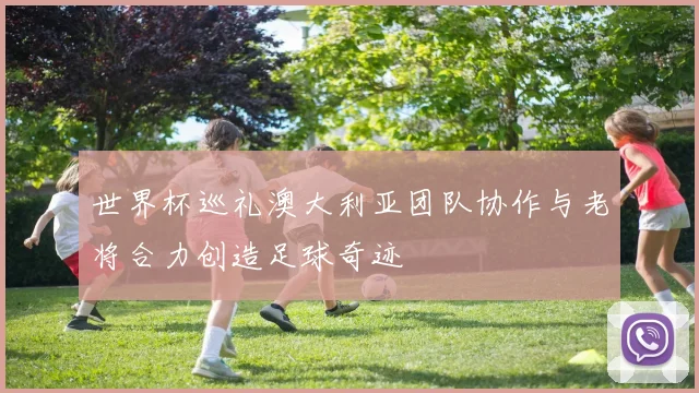 世界杯巡礼澳大利亚团队协作与老将合力创造足球奇迹